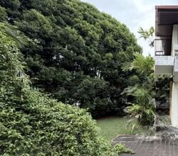 Mayflower Gardens (D20), Semi-Detached #623636001
